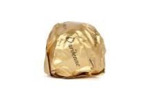 ROCHER PRALINE AU CHOCOLAT AU LAIT