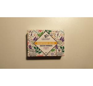 SHP SOLIDE CHEVEUX NORMAUX 85GR