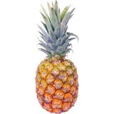 ANANAS PIÈCE