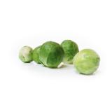 CHOU DE BRUXELLES KG