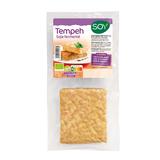 TEMPEH A CUISINER