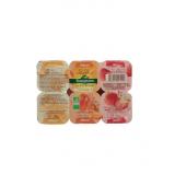 PTITS BIO AUX FRUITS