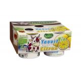 YAOURT CITRON LIVRADOIS